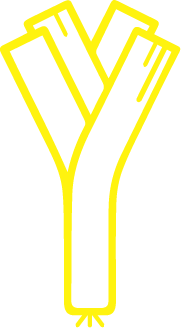 Gelbes Legym Icon. Es stellt einen Lauch dar.